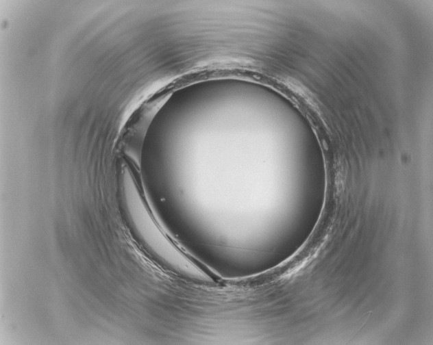 X0000059080973200511041817