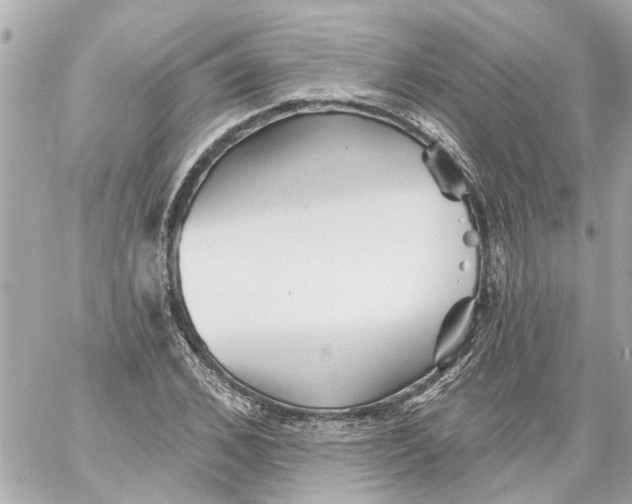 X0000059080976200511041817