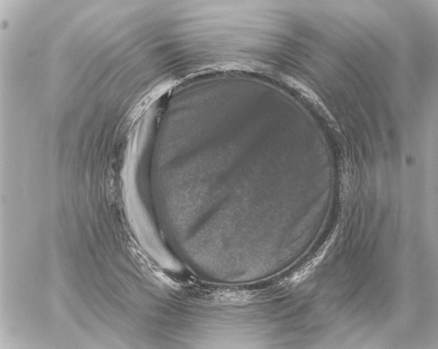 X0000059080977200511041817