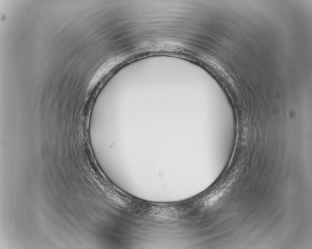 X0000059080978200511041817