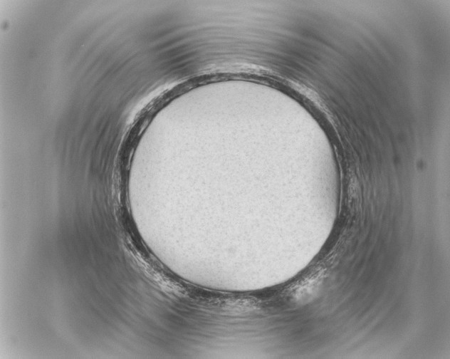 X0000059080979200511041817