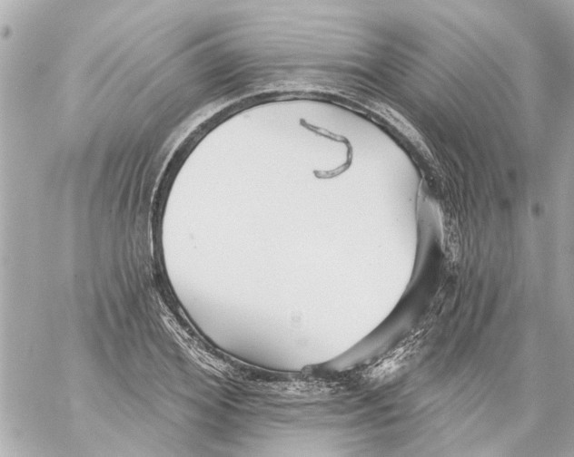 X0000059080980200511041817