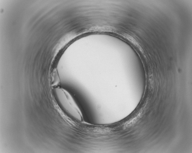 X0000059080981200511041817