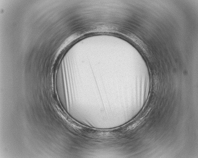 X0000059080982200511041817