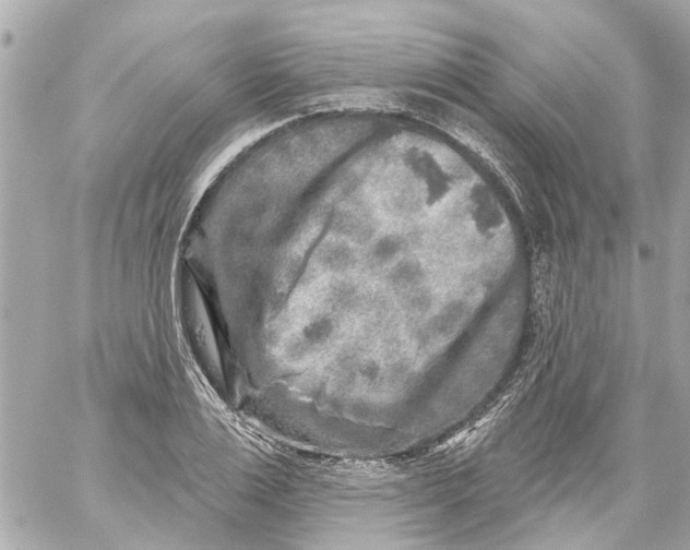 X0000059080983200511041817