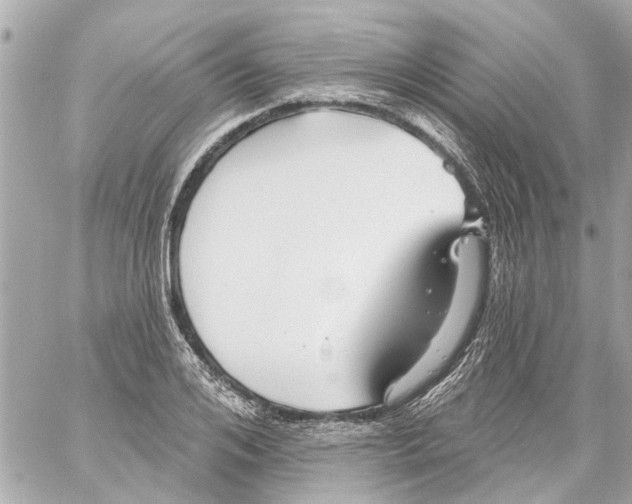 X0000059080984200511041817