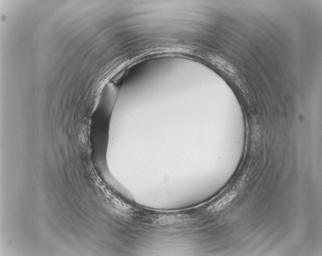 X0000059080985200511041816