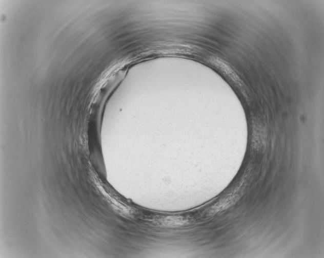 X0000059080986200511041816