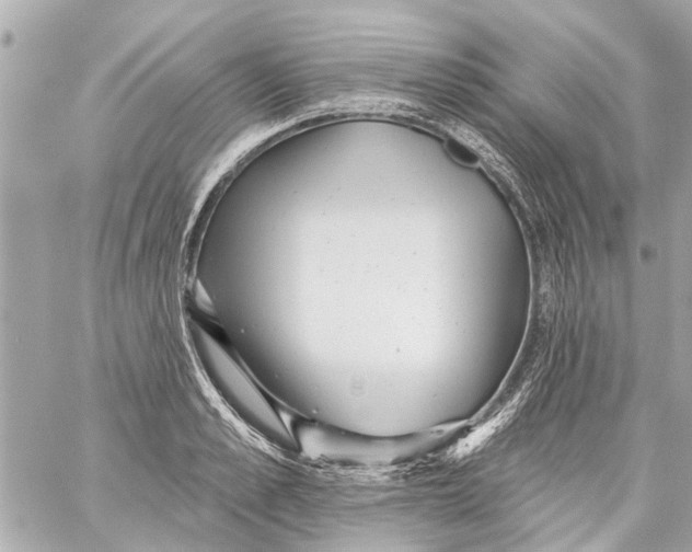 X0000059080989200511041816