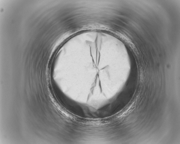 X0000059080990200511041816