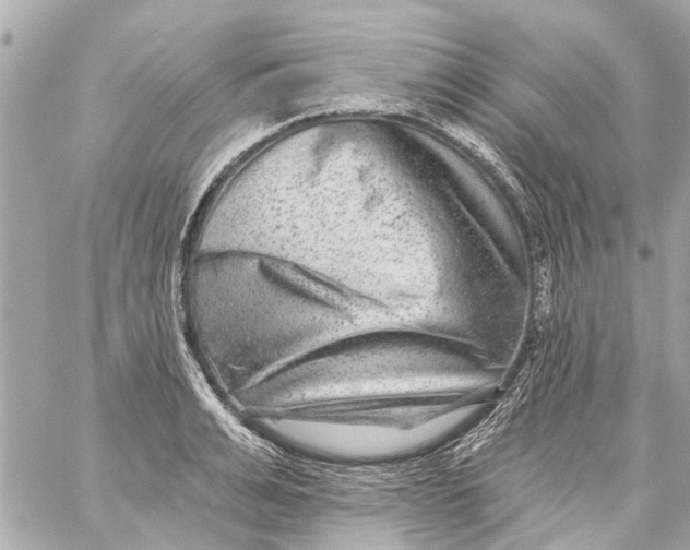 X0000059080991200511041816