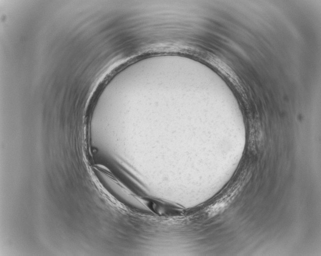 X0000059080992200511041816