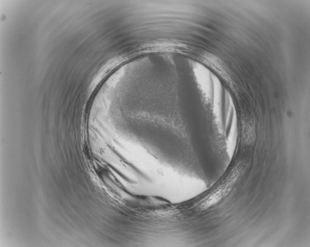 X0000059080994200511041816