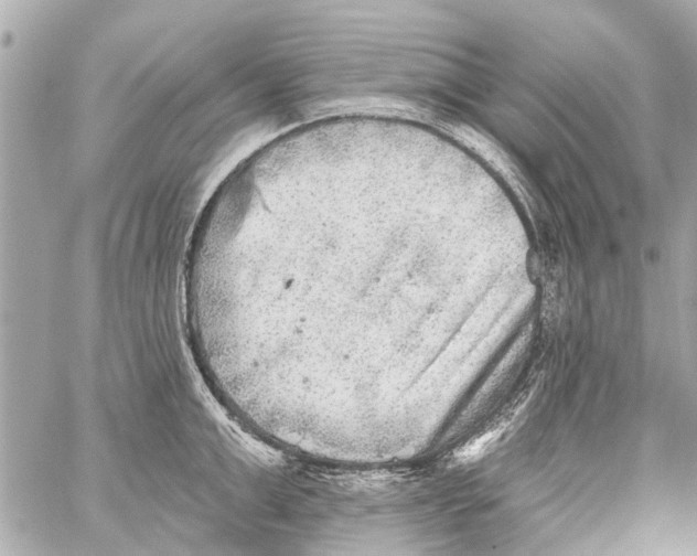 X0000059080999200511041816