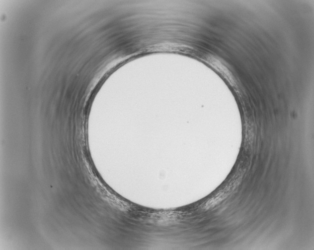 X0000059081000200511041816