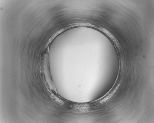 X0000059081001200511041816