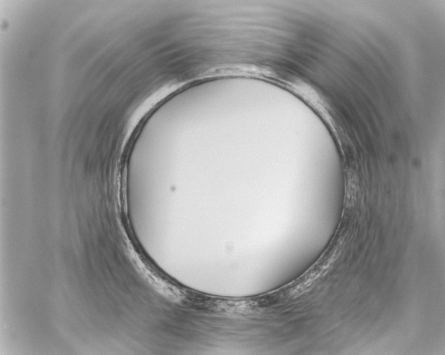 X0000059081003200511041816