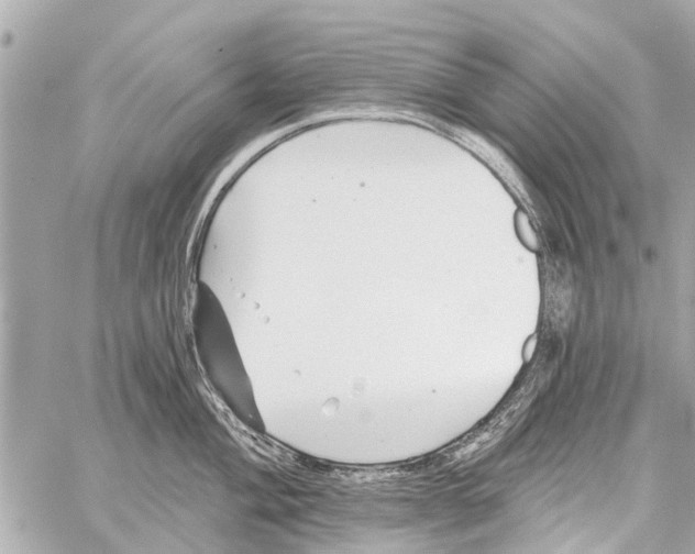 X0000059081004200511041816