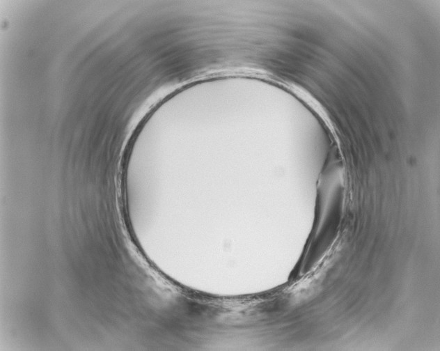 X0000059081005200511041816