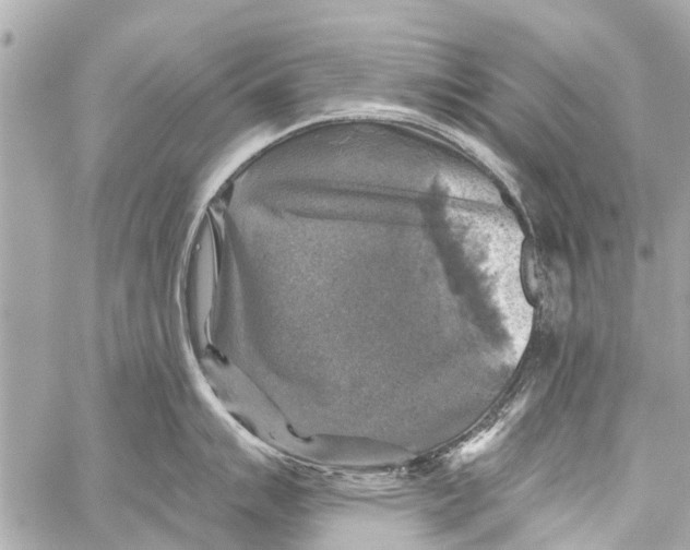 X0000059081007200511041816