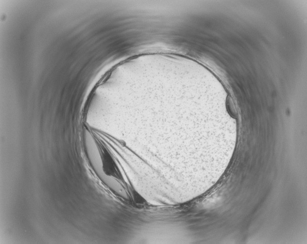 X0000059081008200511041816