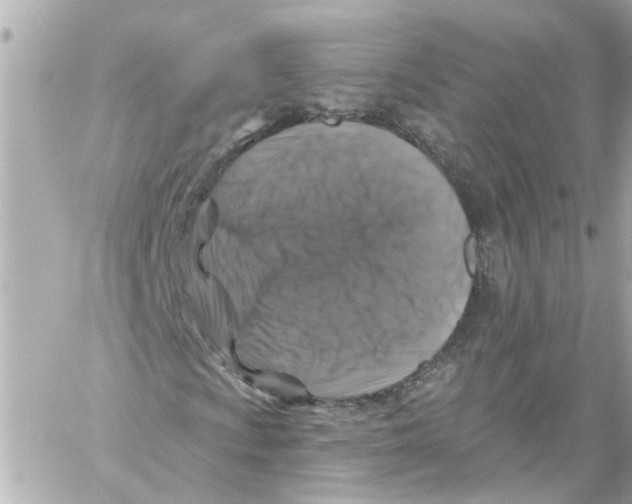 X0000059081009200511041815