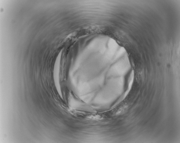 X0000059081010200511041815