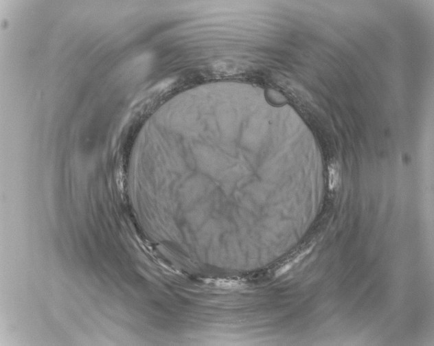 X0000059081011200511041815