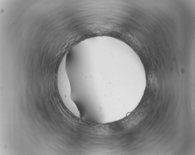 X0000059081012200511041815