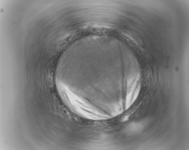 X0000059081013200511041815