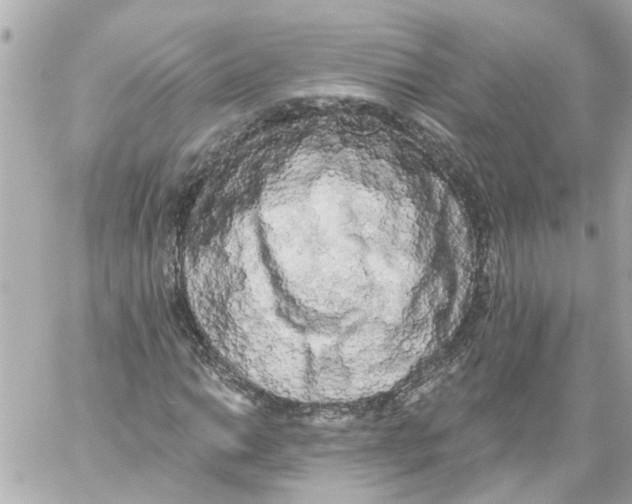 X0000059081014200511041815