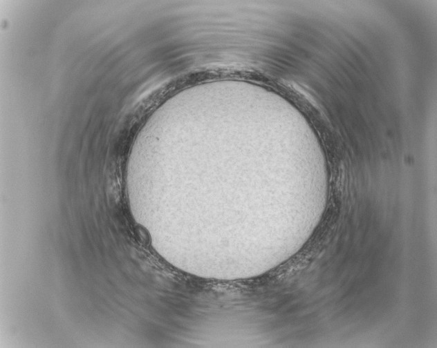 X0000059081015200511041815