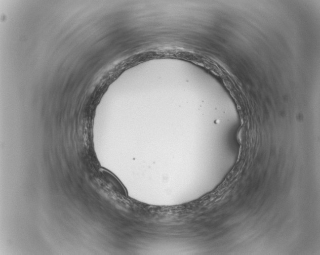 X0000059081016200511041815