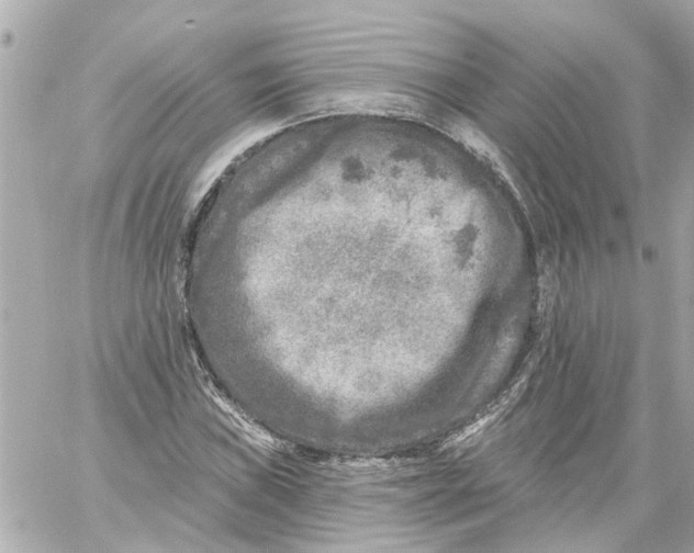 X0000059081019200511041815