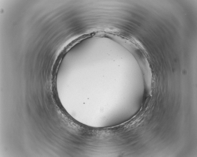 X0000059081020200511041815