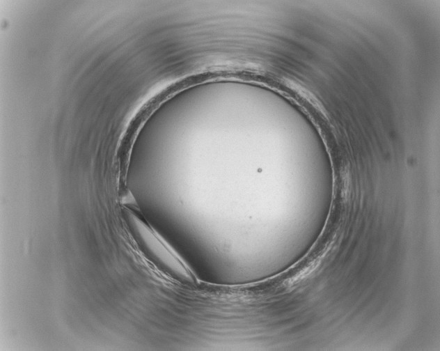 X0000059081021200511041815