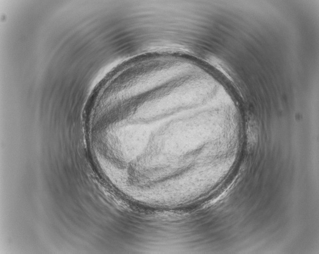 X0000059081022200511041816