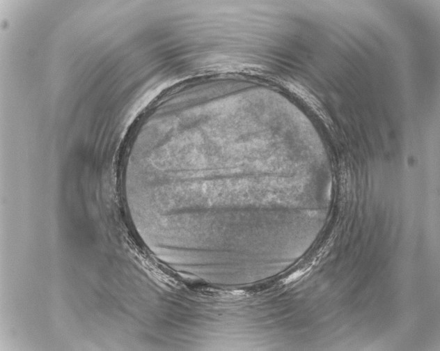 X0000059081023200511041816