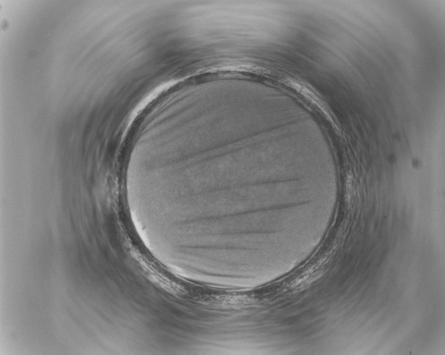 X0000059081024200511041816