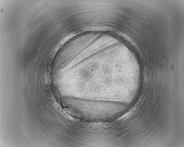 X0000059081025200511041816