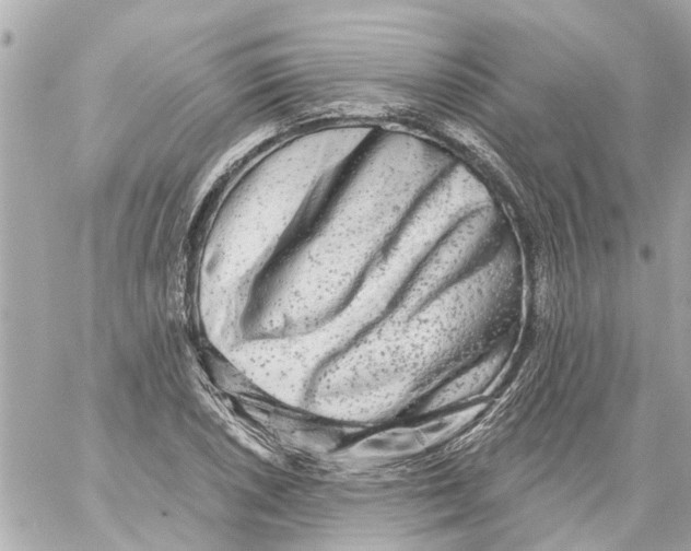 X0000059081026200511041816