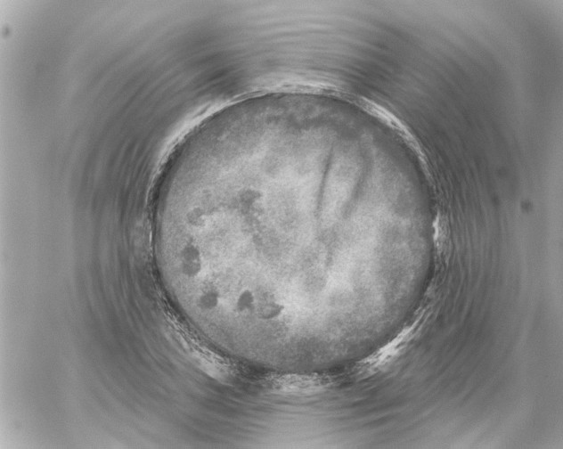 X0000059081027200511041816