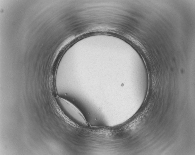 X0000059081029200511041816