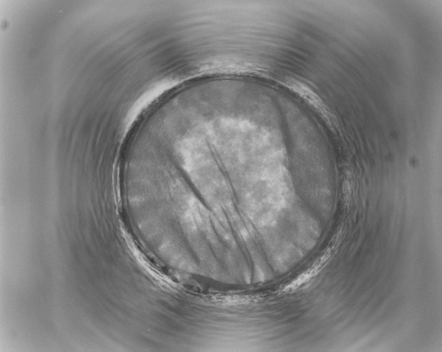 X0000059081030200511041816