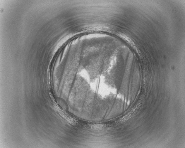 X0000059081031200511041816