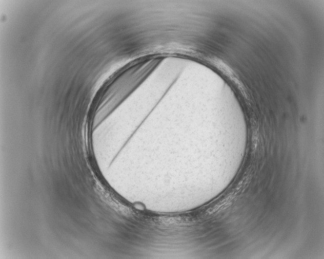 X0000059081032200511041816