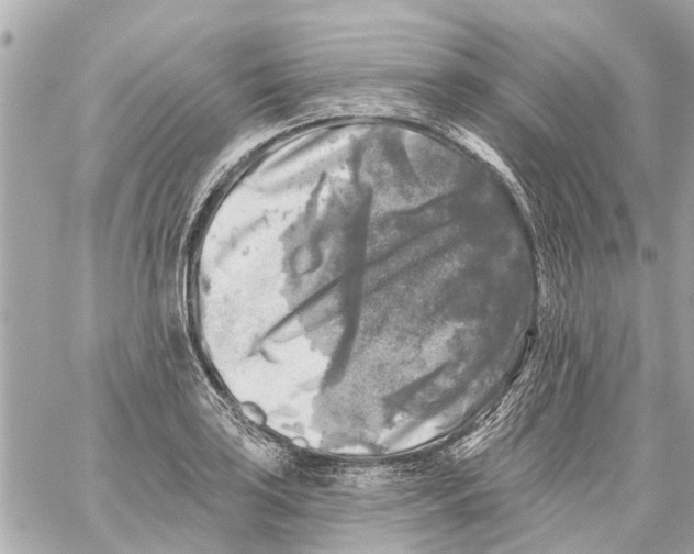 X0000059081035200511041816