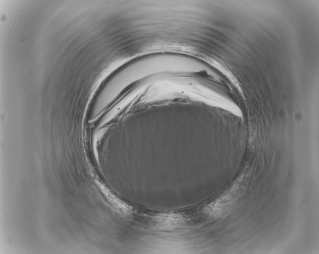 X0000059081037200511041816