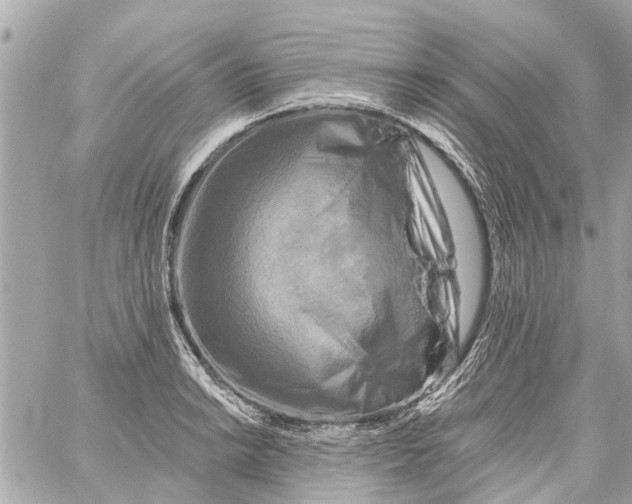 X0000059081038200511041816