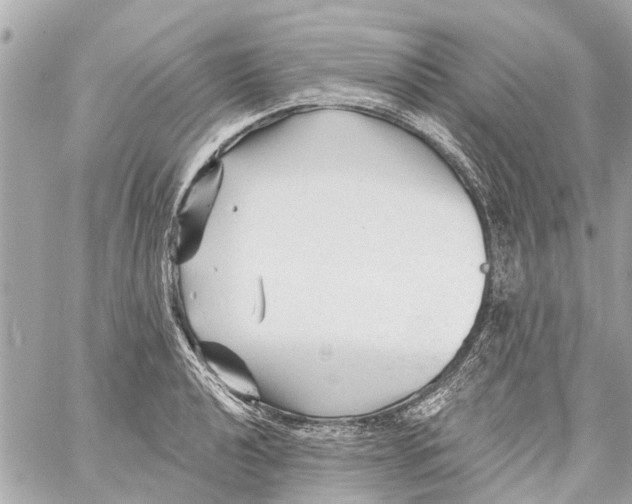 X0000059081040200511041816